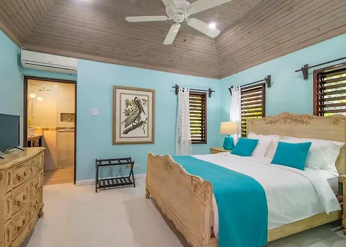 Villa Charming 4br Garden Pool & Separate Montego Bay